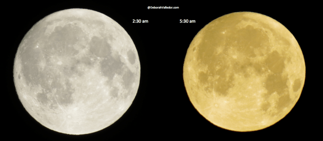 Full Moon 4.25.13